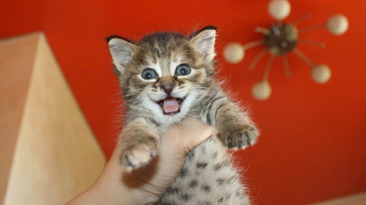 Южный циклон принесет в Кострому кратковременное потепление