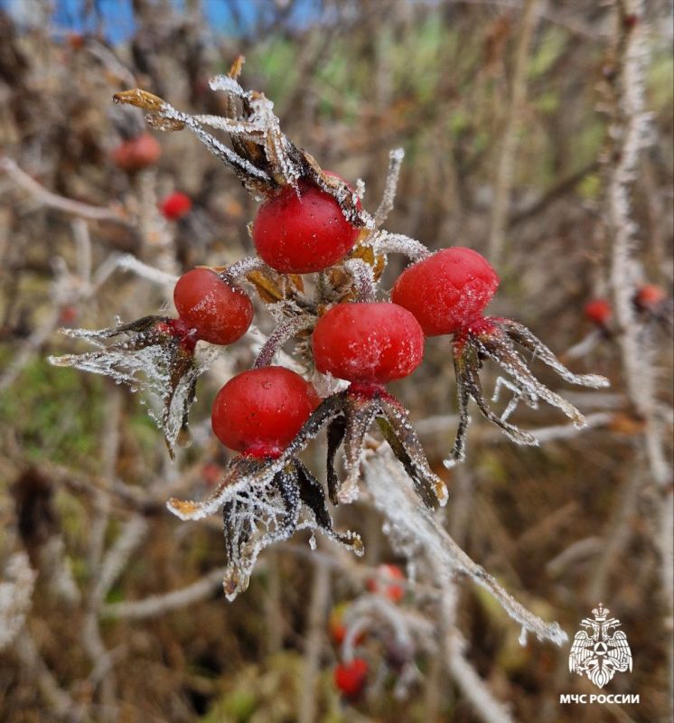 Доброе морозное утро. Чаще всего причиной пожаров в морозные дни является нарушение правил эксплуатации печного отопления и электроприборов