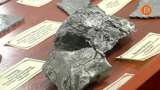 Прикоснуться к тайне происхождения и развития жизни на Земле