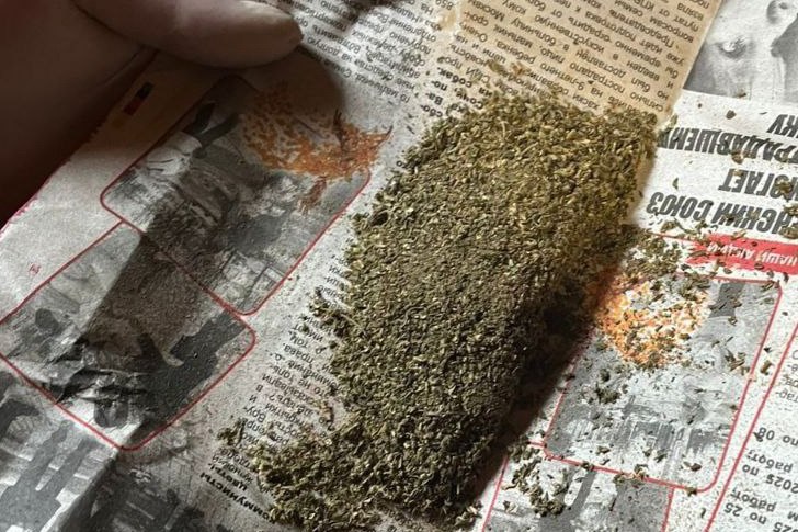 В Нерехте следователи органов внутренних дел направили в суд уголовное дело в отношении местного жителя, который выращивал и заготавливал коноплю В Нерехте следователи органов внутренних дел направили в суд уголовное дело в отношении местного жителя, который выращивал и заготавливал коноплю