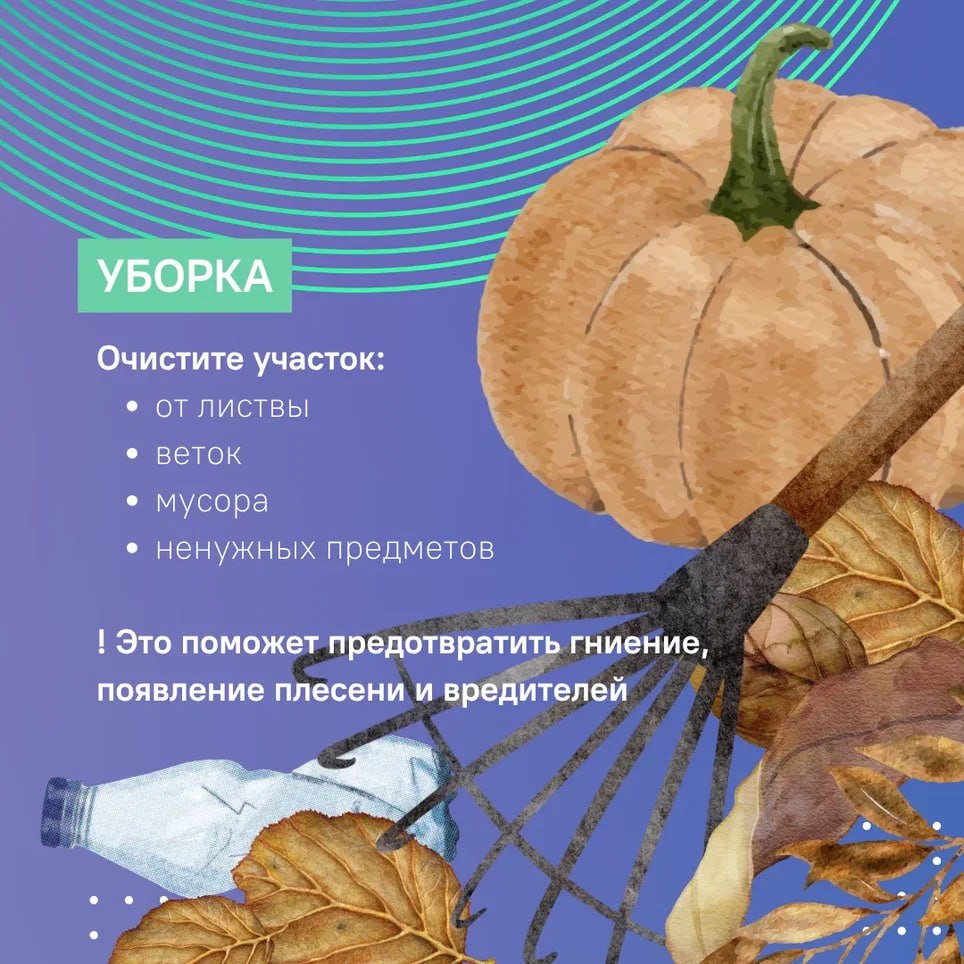 В ноябре нет уже никаких сомнений, что тёплая погода оставила нас до весны – зима неумолимо наступает и пора закрывать дачный сезон В ноябре нет уже никаких сомнений, что тёплая погода оставила нас до весны – зима неумолимо наступает и пора закрывать дачный сезон