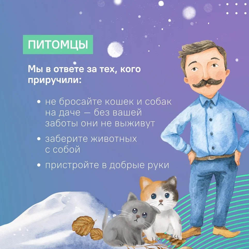 В ноябре нет уже никаких сомнений, что тёплая погода оставила нас до весны – зима неумолимо наступает и пора закрывать дачный сезон В ноябре нет уже никаких сомнений, что тёплая погода оставила нас до весны – зима неумолимо наступает и пора закрывать дачный сезон