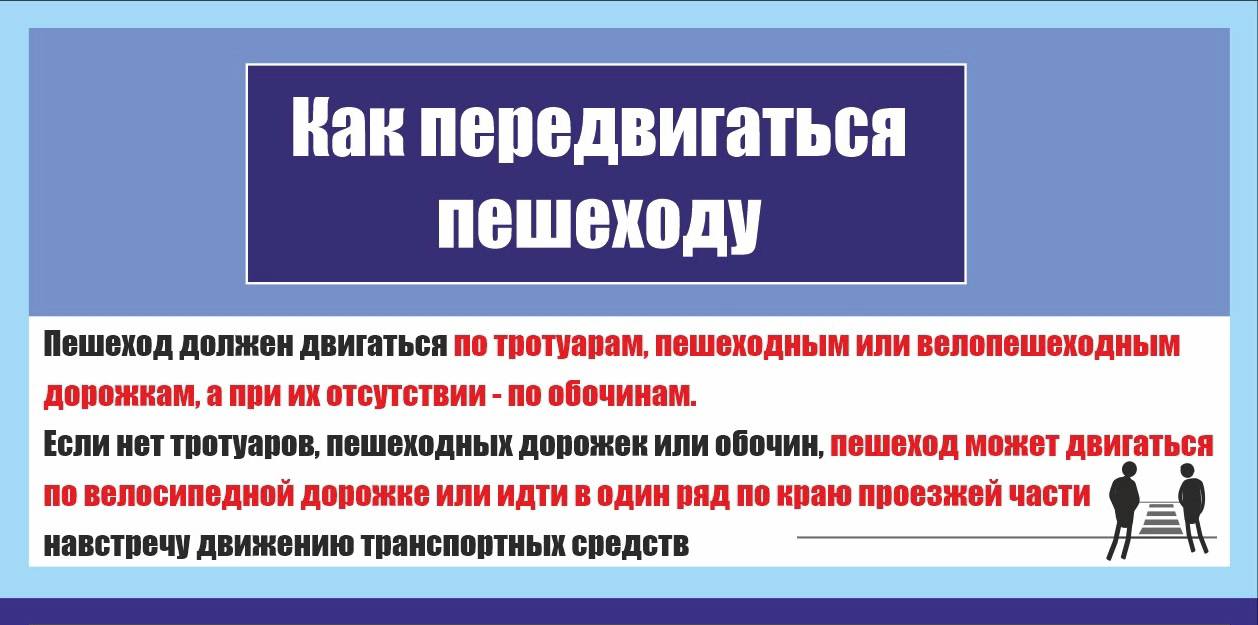 Переходи проезжую часть с умом Переходи проезжую часть с умом
