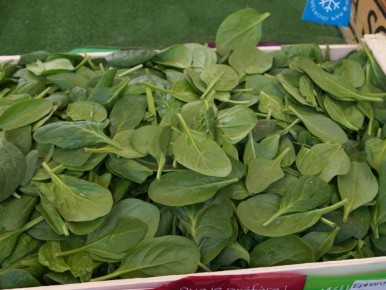 Шпинат: простой способ добавить витаминов в свой рацион даже осенью