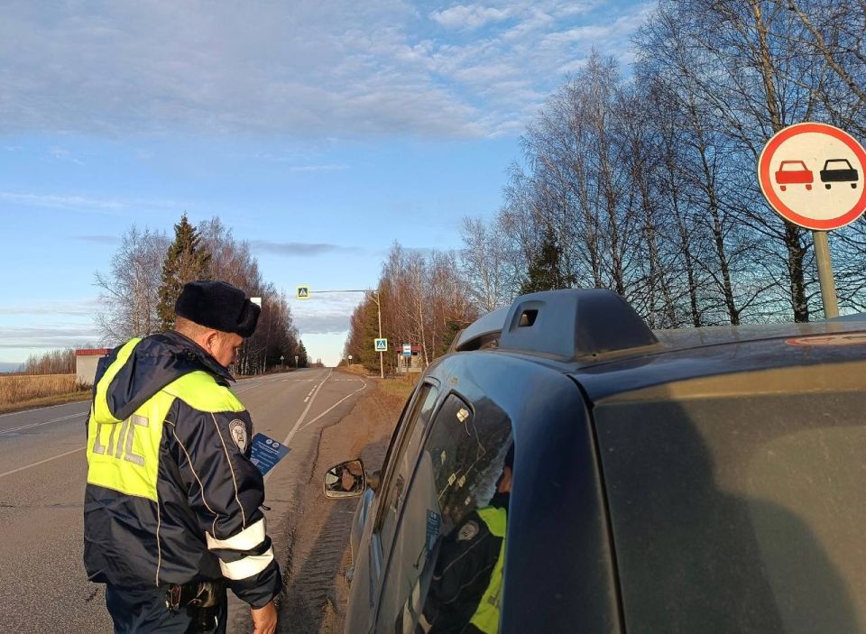 В Нерехте прошел масштабный социальный проект «ПДД во благо жизни», направленный на безопасность каждого участника дорожного движения