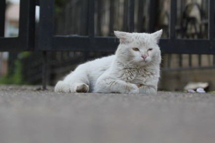 Погодные «пляски» вокруг нуля чреваты гололедицей для костромичей