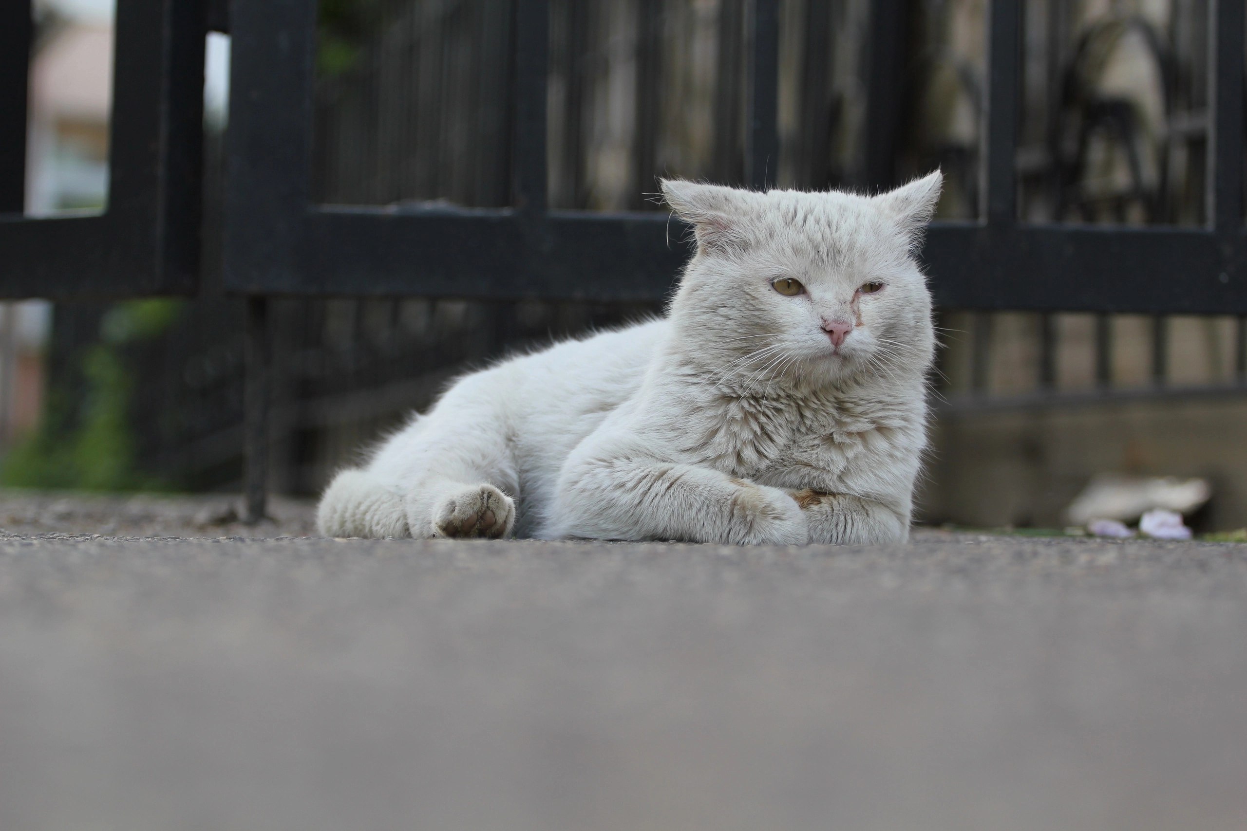 Погодные «пляски» вокруг нуля чреваты гололедицей для костромичей