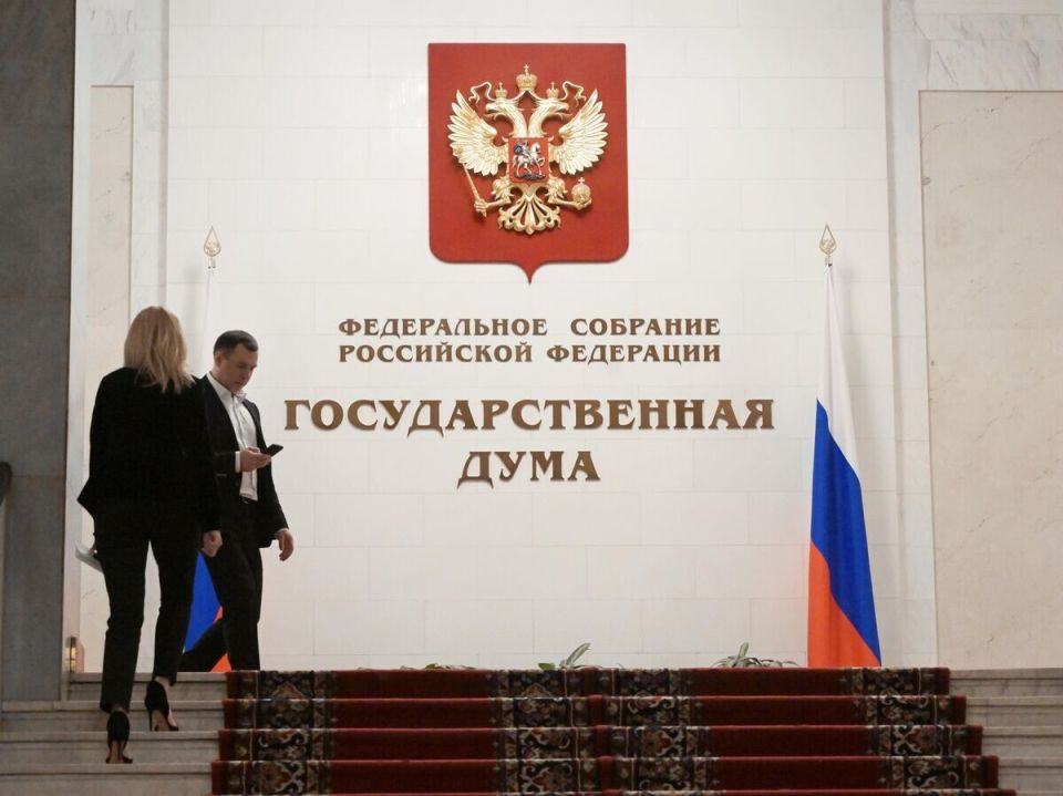 В Госдуме предложили разработать план противодействия хищениям российских активов за границей