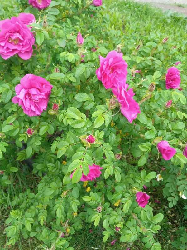 Пенсия: удача или испытание?