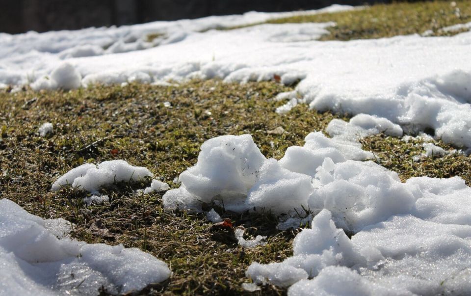 Мартовские ошибки дачников: как не разрушить начало сезона