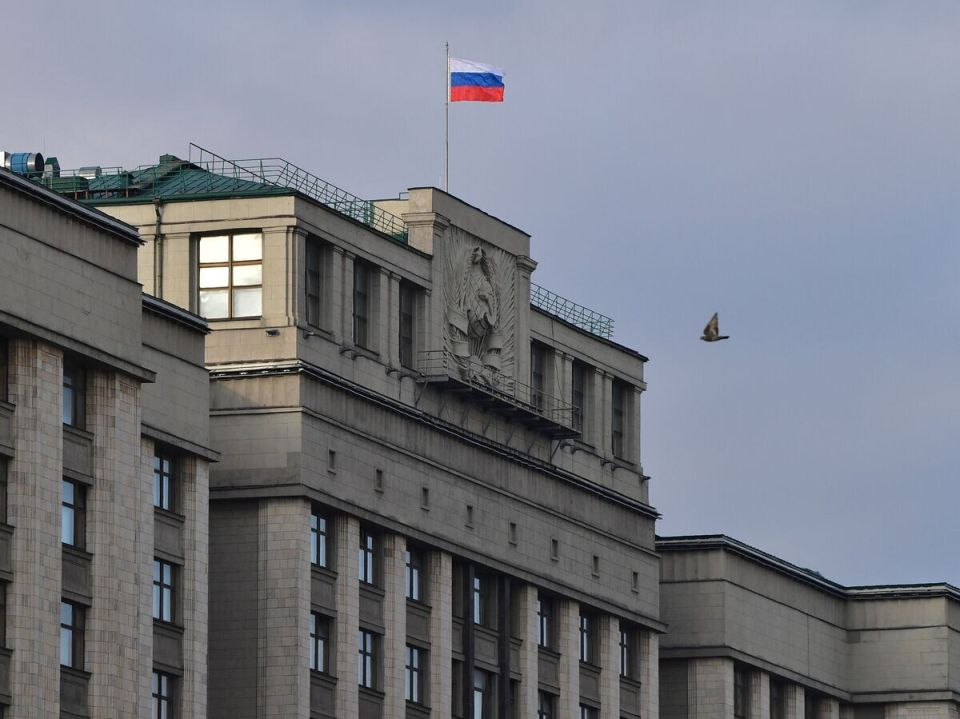 Госдума одобряет налоговые послабления для семей и участников СВО