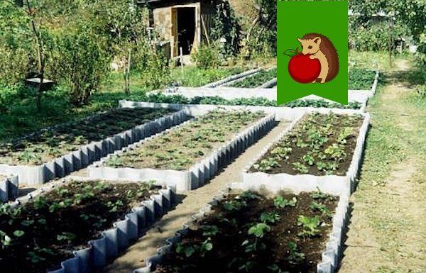 Эстетика и функциональность: лучшие материалы для ограждения грядок