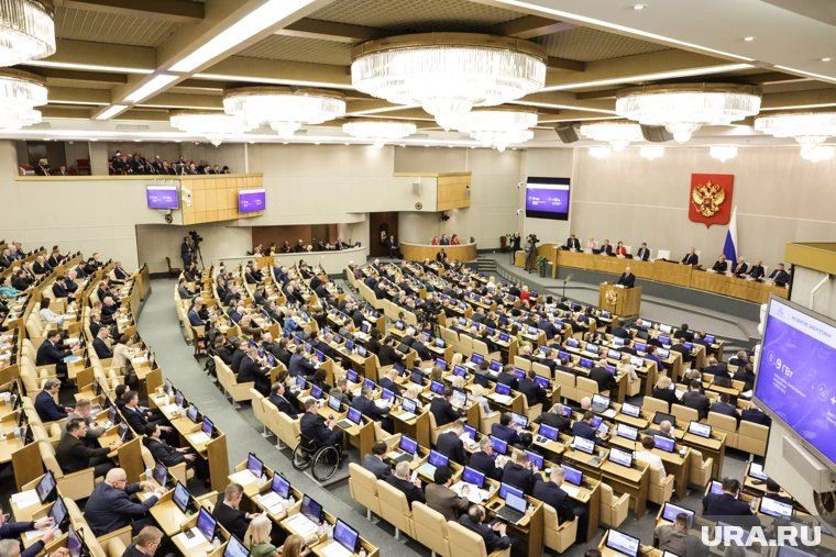 Платный доступ к данным МВД: коммерческие организации получили новые возможности