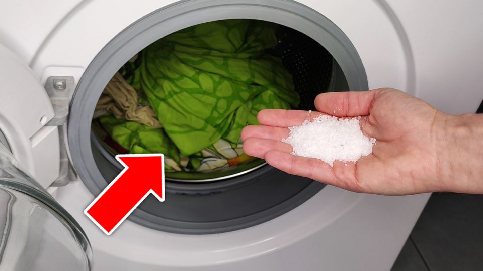 ����� ������: ��� ������� ������� � ���������� �� ����� �� ������