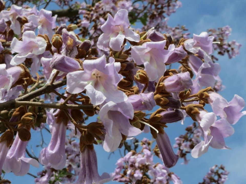 ���������: ���������� ����� � ������ ������� ������ ����