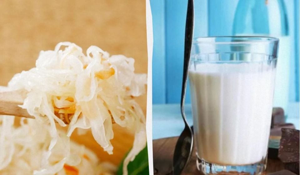 Продукты, пробиотики которых могут удивить даже самого преданного любителя йогурта