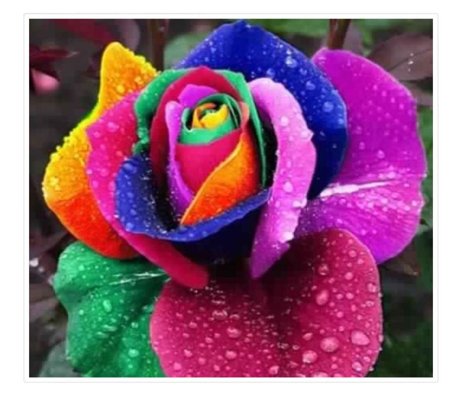 ������ �������� ���������� � ��������� �������: ������������ � ����� � 2025 ����