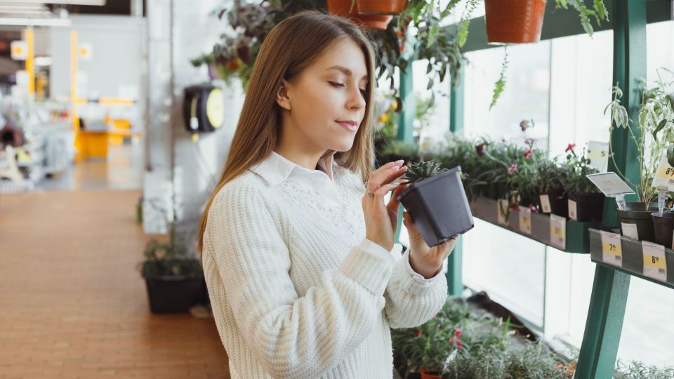 ���� ������ ����� ���� ������������� ��������: �� ������� ��� �������