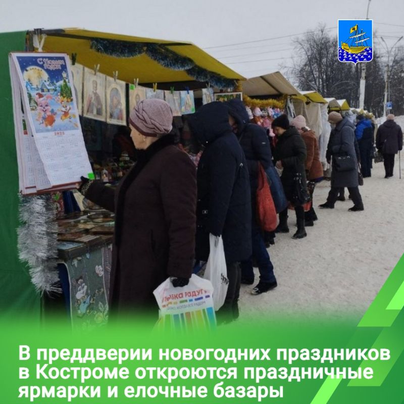 В преддверии новогодних и рождественских праздников костромичи смогут приобрести живые ели и подарки