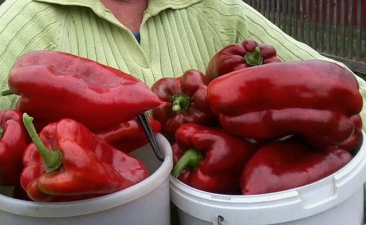 ������� ��������� ������ �����: ��� ��������� ���� �� 70%