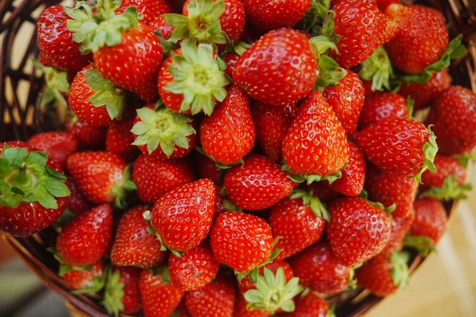 Уникальные баковые смеси: почему их разнообразие так важно для вашего сада