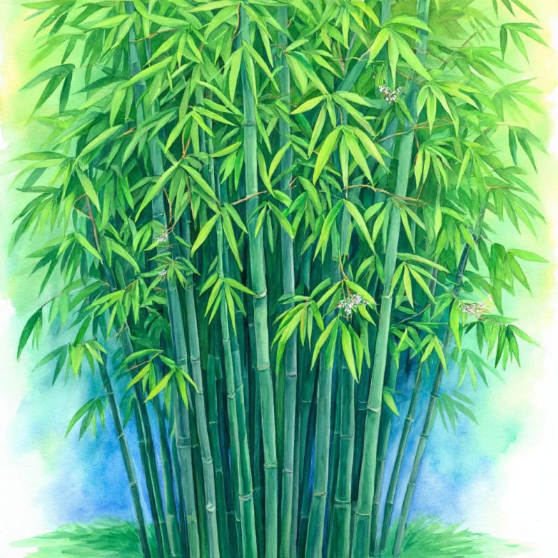 Лён и бамбук: новые звёзды 3D-печати и их влияние на индустрию