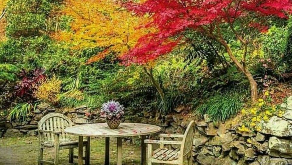 Как сделать осенний сад уютным и красивым: идеи для вдохновения