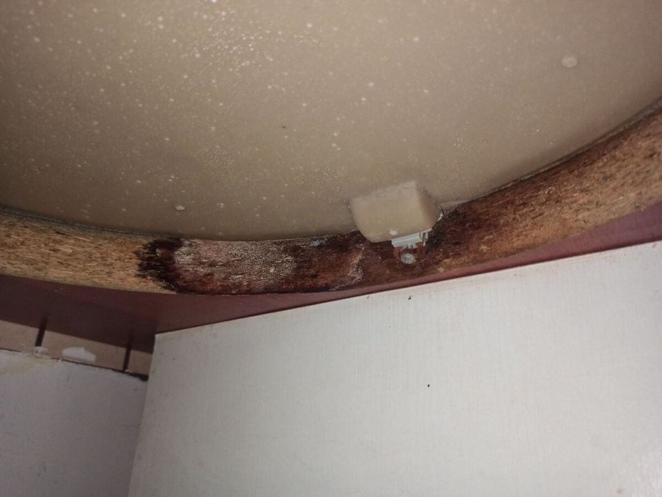 Плесень и сантехника: незаметная угроза для вашего дома