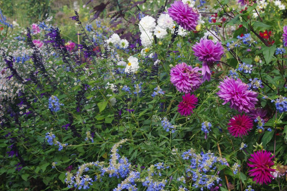 ������ ������������ ������ ������������ ����� ���������?