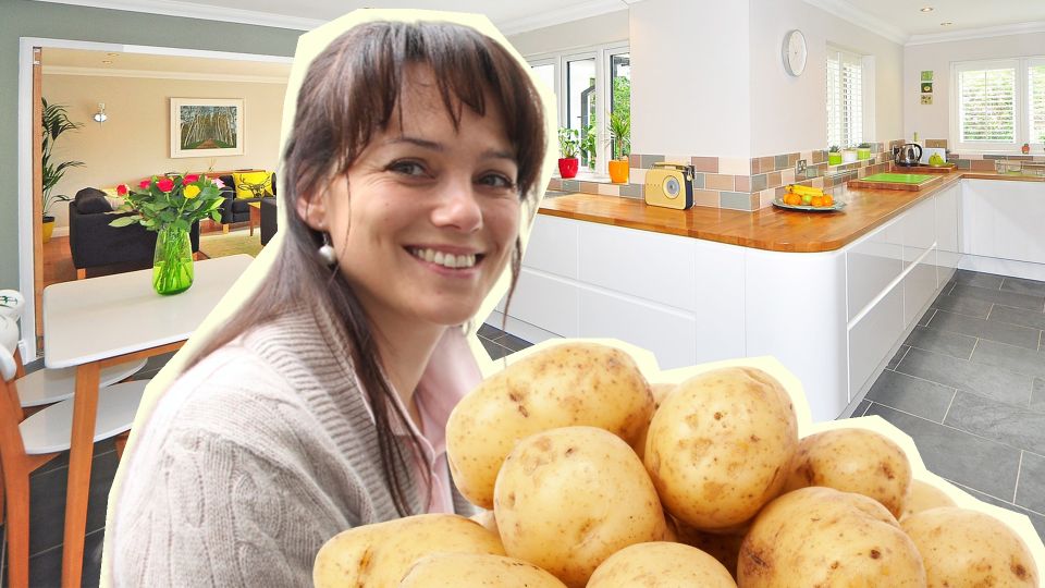 ��������� �������� ������ ������� ������ ���� ������: ������ ������ �� ��������