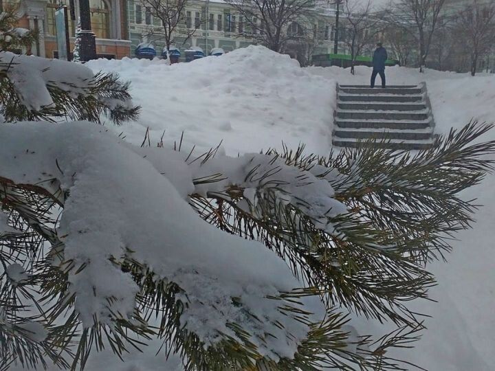 Важные изменения: новые законы вступают в силу в ноябре 2025 года