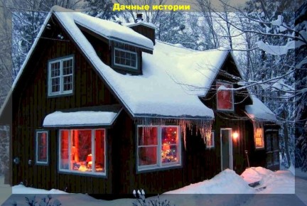 Как выбрать идеальные сорта огурцов: советы для начинающих дачников