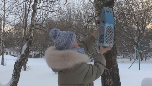 В Костроме объявлен конкурс на лучшую птичью «столовую»
