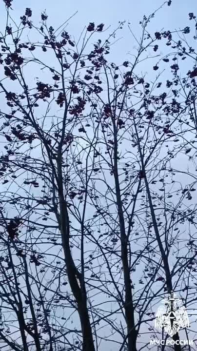 Ветренная погода сохранится