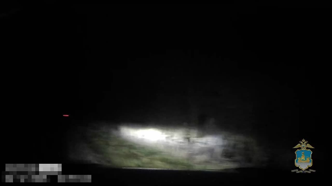 В Костромском районе задержали нетрезвого водителя, который прятался от полицейских в лесополосе