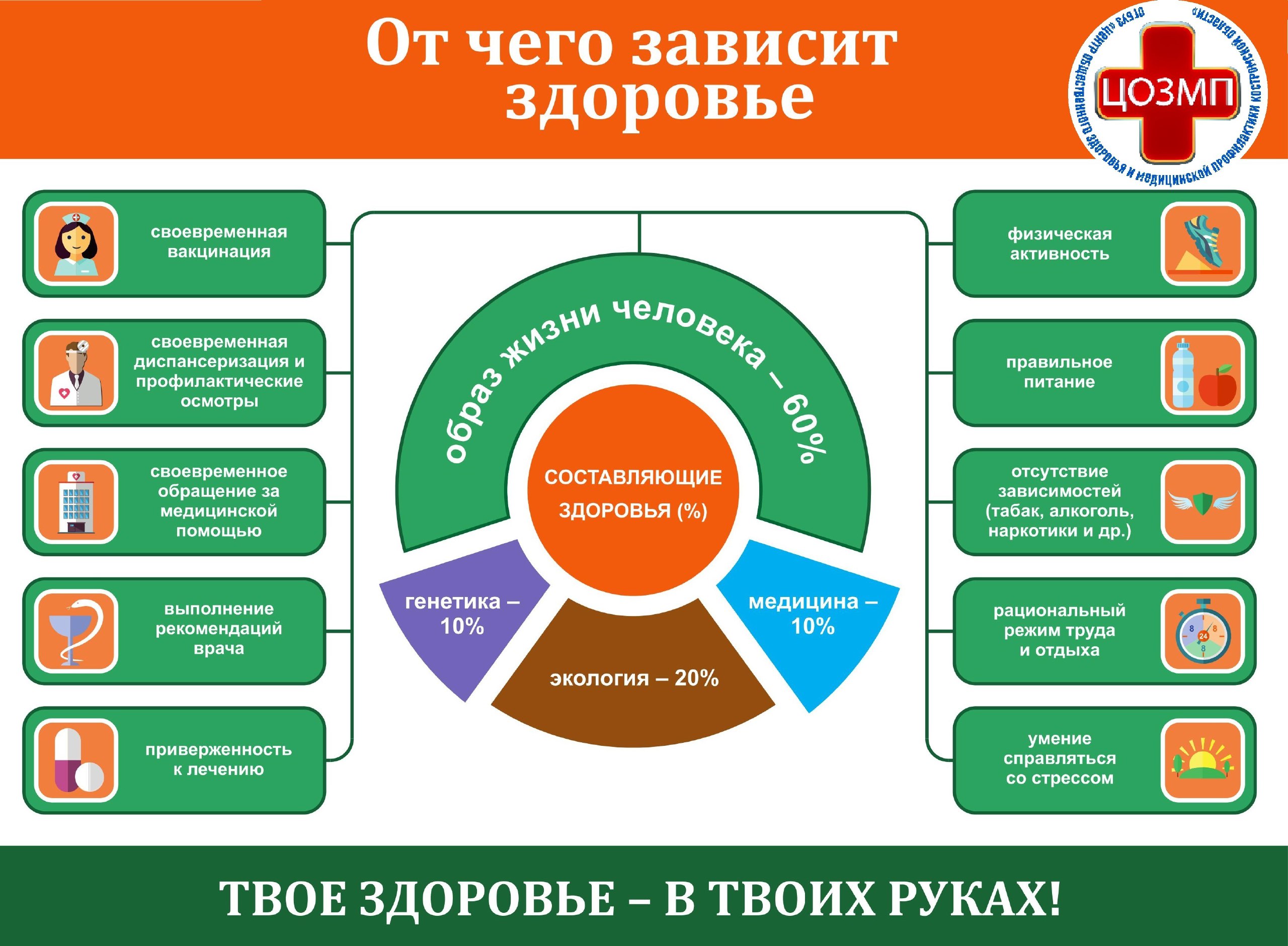 В Костроме проходит Неделя ответственного отношения к здоровью В Костроме проходит Неделя ответственного отношения к здоровью