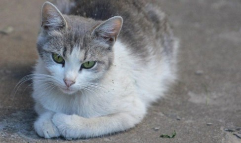 ���� � �������� ���� ������� � ��������� ���