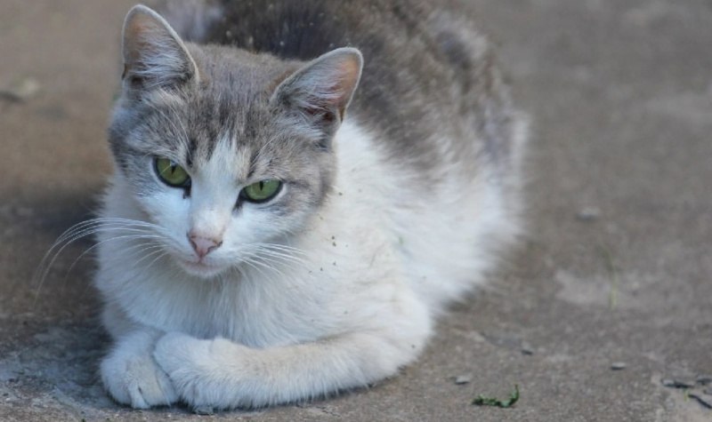 Зима в Костроме даст слабину в ближайшие дни