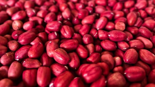 �� ���� ����� ������ ��������� ������ ����: ����� ����� ������� � ������