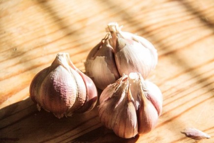 ��� ����� ������� ����: ����� � ������ ��������� ��� ���� � ������ �� 10 �����