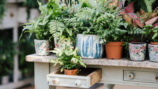 ����� ������� ������ � ��������� �������: �� ������� ��������� ������� � �����