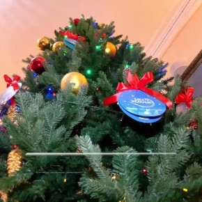 В Костромской области стартовала Всероссийская акция «Ёлка желаний»