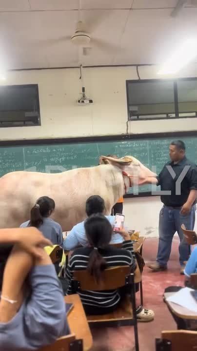 ������� ������� ����� �������� ��������� ���� �������������� � � ������ � ����� ���������� �������