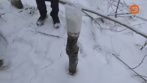 ���� ��������� �����. ������� � �������� �33 �������� ��������� ��������������� ����� ��������