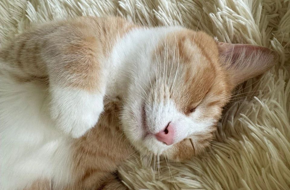 ������� ������ � �������� �� �������� ������� ���������