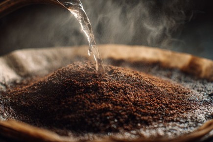 ������ ����������� ����: ��� ��� ����������?