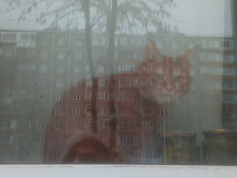 �������� �������� ���������� �������������