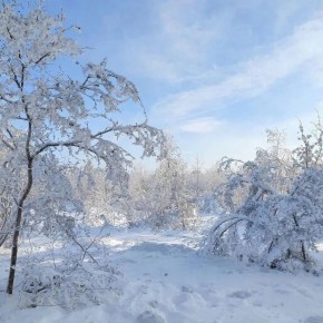 Декабрь 2025: новые законы, которые изменят повседневную жизнь