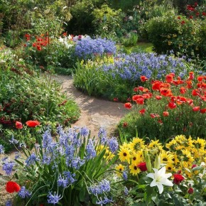 Цветочная защита для вашего сада: как создать гармонию без химии