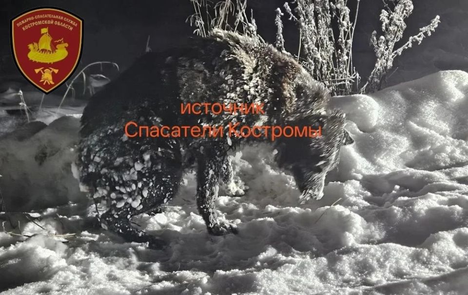 ������ ������ �� ����� ������ � ����������� ���������